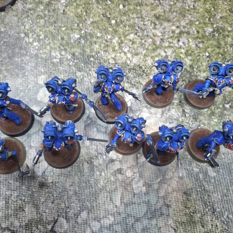 Описание картинки NIGHT LORDS NIGHT RAPTORS от Po345 по цене 4 000руб | Свободный Рынок Миниатюр - СРМ