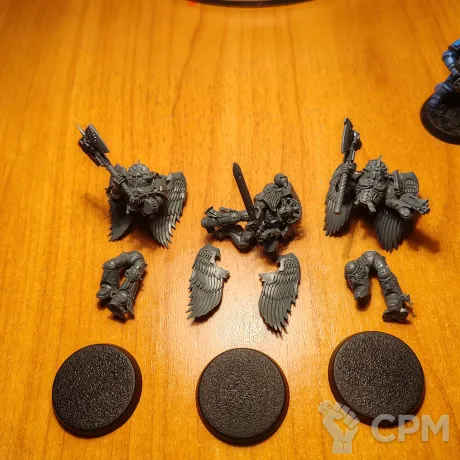Описание картинки Оригинальные Blood Angels Sanguinary Guard от Gimliman по цене 1 500руб | Свободный Рынок Миниатюр - СРМ