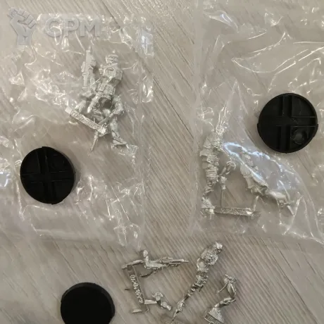 Описание картинки Celestial guards от RaidenSA по цене 1 500руб | Свободный Рынок Миниатюр - СРМ