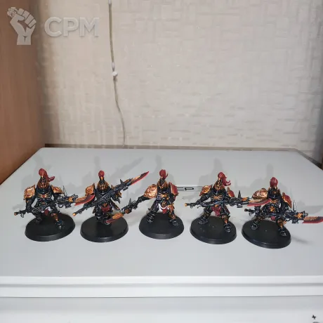 Описание картинки Custodian Guard Ориг от Pirs по цене 2 000руб | Свободный Рынок Миниатюр - СРМ