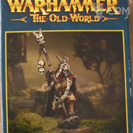 Описание картинки Beastman Shaman от User63968 по цене 2 300руб | Свободный Рынок Миниатюр - СРМ