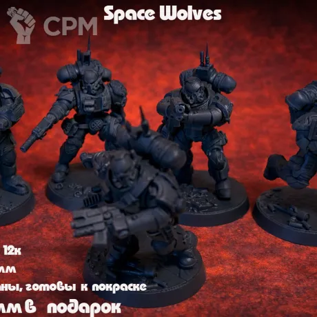 Описание картинки Миниатюры Warhammer 40K Space Wolves, набор 5 шт + подставки, собранные и грунтованные от 3DSprint по цене 888руб | Свободный Рынок Миниатюр - СРМ