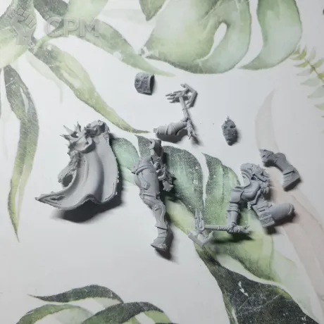 Описание картинки Neave Blacktalon от Zversh по цене 550руб | Свободный Рынок Миниатюр - СРМ