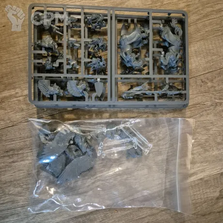 Описание картинки Pegasus Knights х3 от Andrew_F по цене 4 900руб | Свободный Рынок Миниатюр - СРМ