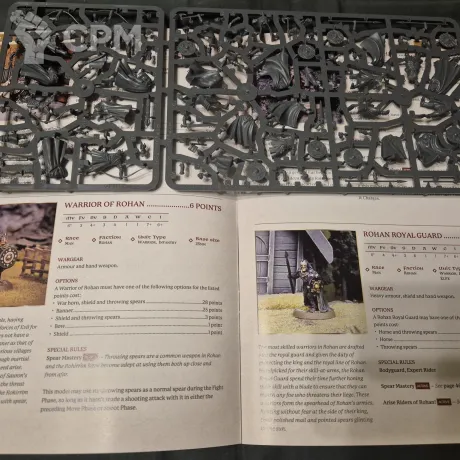 Описание картинки Warriors of Rohan от masterwaff по цене 2 300руб | Свободный Рынок Миниатюр - СРМ