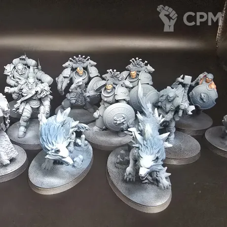 Описание картинки Солянка проксей Space Wolves 15 шт от IGC по цене 100руб | Свободный Рынок Миниатюр - СРМ