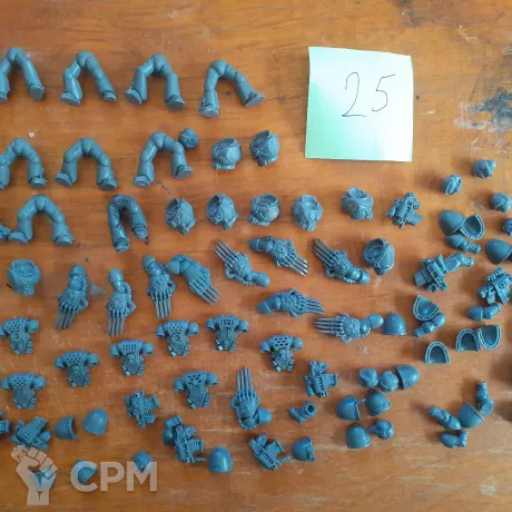 Описание картинки Tactical Squad с когтями\штормболтерами от Nailbrain по цене 4 000руб | Свободный Рынок Миниатюр - СРМ