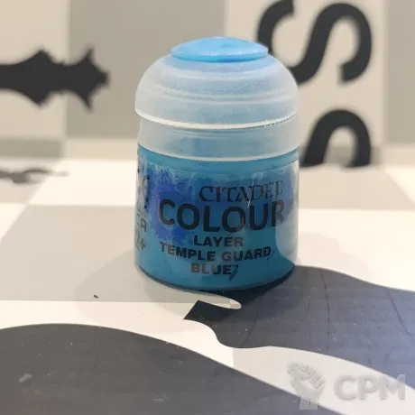 Описание картинки Layer: Temple Guard Blue от SapherWales по цене 500руб | Свободный Рынок Миниатюр - СРМ