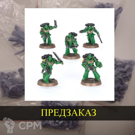 Описание картинки Assault Intercessors от White Rhino по цене 599руб | Свободный Рынок Миниатюр - СРМ