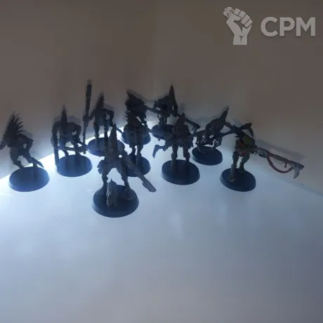 Описание картинки Kroot Carnivores от Amelio по цене 2 000руб | Свободный Рынок Миниатюр - СРМ