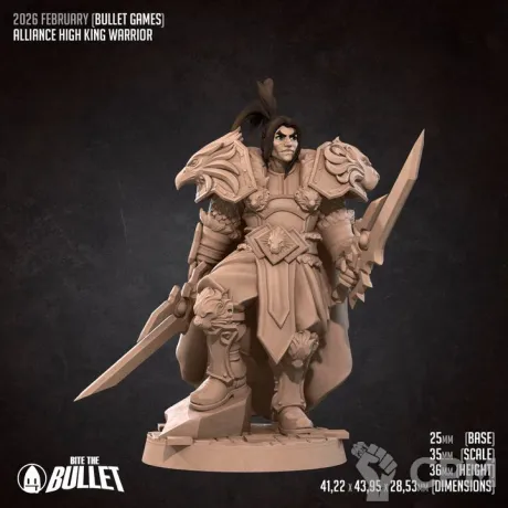 Описание картинки Alliance High King Warrior от PocketSized Prints по цене 220руб | Свободный Рынок Миниатюр - СРМ