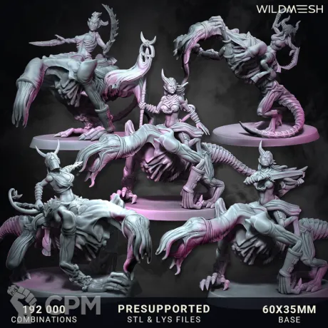 Описание картинки Chaos Excess - Succubus Riders Unit от PocketSized Prints по цене 2 700руб | Свободный Рынок Миниатюр - СРМ