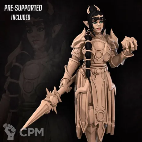 Описание картинки Half-Elf Cleric от PocketSized Prints по цене 200руб | Свободный Рынок Миниатюр - СРМ