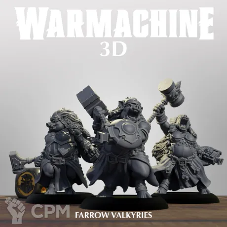 Описание картинки Farrow Valkyries от Manufactorum76 по цене 675руб | Свободный Рынок Миниатюр - СРМ