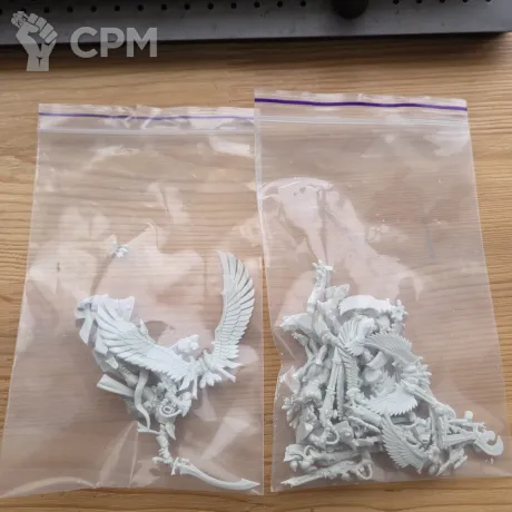 Описание картинки Baharroth+swooping hawks от User34516 по цене 500руб | Свободный Рынок Миниатюр - СРМ