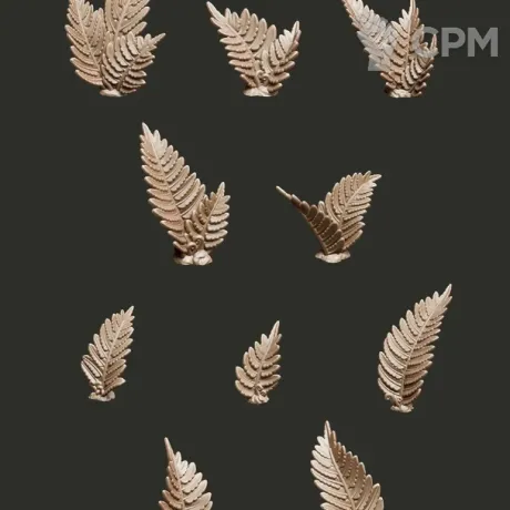 Описание картинки Fern Plants от Орки с наГорки по цене 150руб | Свободный Рынок Миниатюр - СРМ