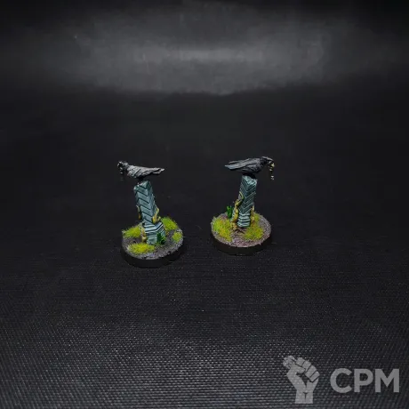 Описание картинки Warhammer Quest: Cursed City 2 маркера с вороном, пластик гв, покрас от V130177@mail.ru по цене 900руб | Свободный Рынок Миниатюр - СРМ