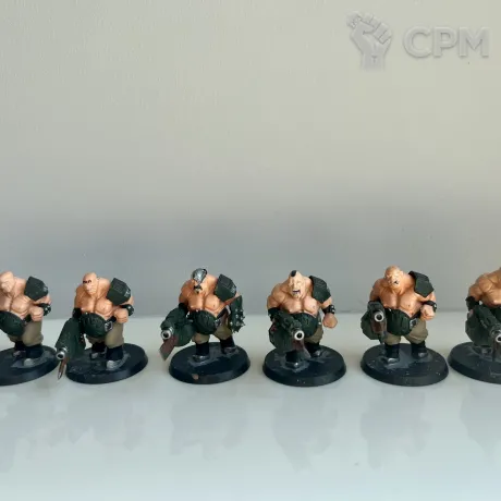 Описание картинки Ogryns x6 от Paul_Konovan по цене 5 500руб | Свободный Рынок Миниатюр - СРМ