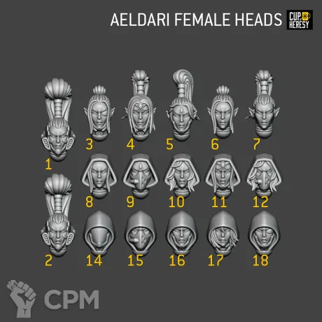 Описание картинки Aeldari Female Heads pt.1 от Cup of Heresy по цене 10руб | Свободный Рынок Миниатюр - СРМ