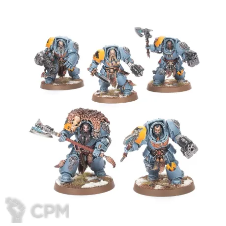 Описание картинки Wolf Guard Terminators от Knight of Light по цене 1 250руб | Свободный Рынок Миниатюр - СРМ