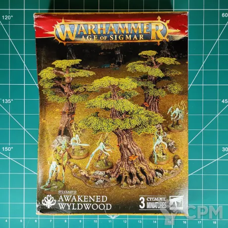 Описание картинки Awakened Wyldwood (Forest) от Vault Boy по цене 6 398руб | Свободный Рынок Миниатюр - СРМ