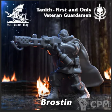 Описание картинки Tanith Veteran Guardsmen 1 от WebWay 3D по цене 1 000руб | Свободный Рынок Миниатюр - СРМ