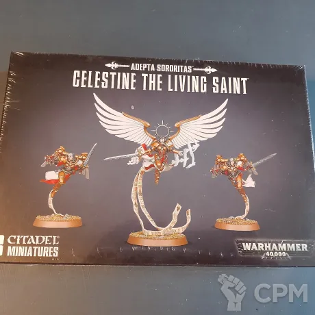 Описание картинки Saint Celestine от Prime по цене 6 000руб | Свободный Рынок Миниатюр - СРМ