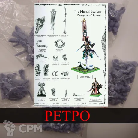 Описание картинки Champions of Slaanesh от White Rhino по цене 799руб | Свободный Рынок Миниатюр - СРМ