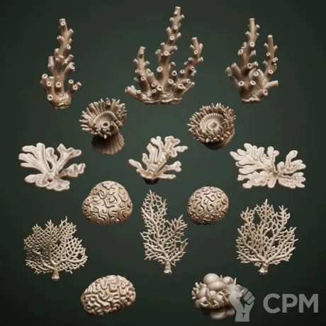 Описание картинки Exotic Coral от Орки с наГорки по цене 250руб | Свободный Рынок Миниатюр - СРМ