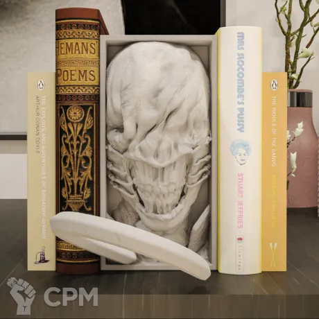 Описание картинки Book Nook - Chatterer от Naggaroth Night по цене 3 000руб | Свободный Рынок Миниатюр - СРМ