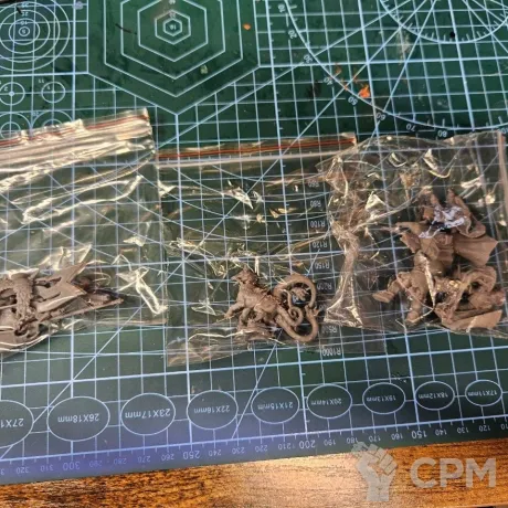 Описание картинки Freeguild Command Corps от Badrus по цене 1 000руб | Свободный Рынок Миниатюр - СРМ