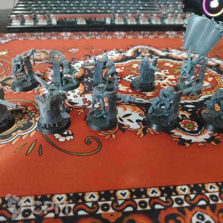 Описание картинки Freeguild Fusiliers от Thunder79 по цене 100руб | Свободный Рынок Миниатюр - СРМ