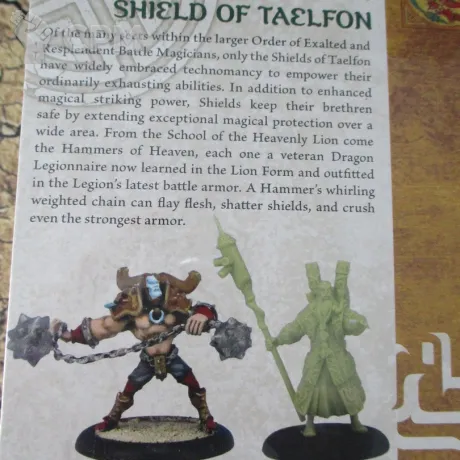 Описание картинки Wrath of Kings Specialist Box 1 Miniatures WOK03006 [Hammer of Heaven, Shield of Taelfon] от V130177@mail.ru по цене 1 300руб | Свободный Рынок Миниатюр - СРМ