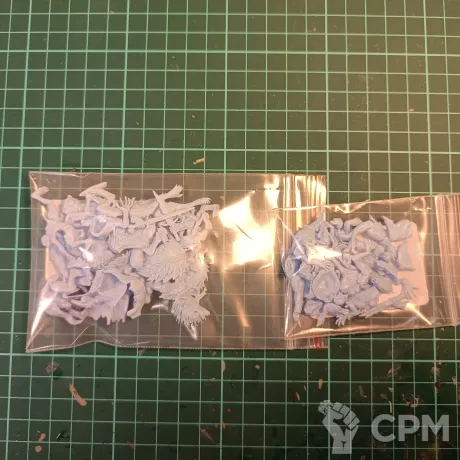 Описание картинки Royal Beastflayers от mactep_tk по цене 100руб