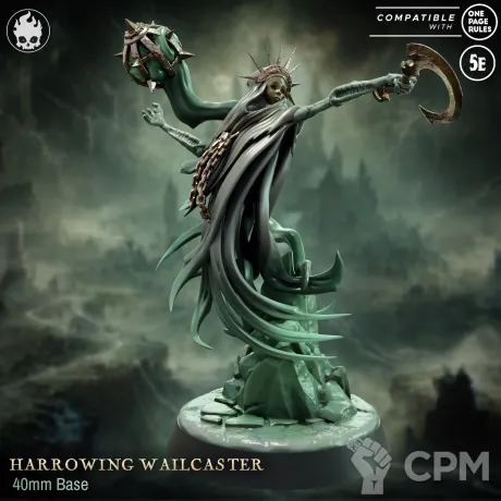 Описание картинки Harrowing Wailcaster от Naggaroth Night по цене 500руб | Свободный Рынок Миниатюр - СРМ