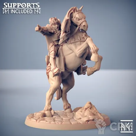 Описание картинки Женщина всадник Паладин (Female Paladin Rider) от Gabrigame_Print по цене 550руб | Свободный Рынок Миниатюр - СРМ