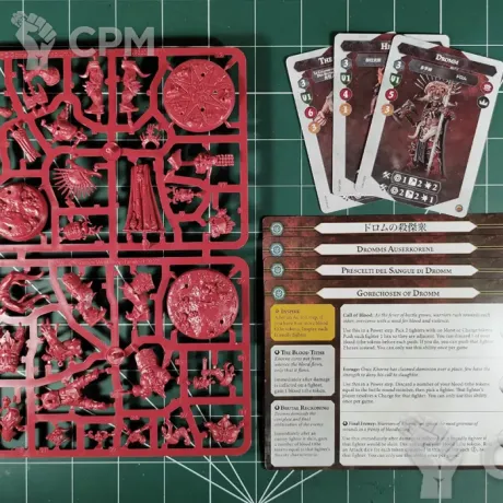 Описание картинки Gorechosen of Dromm от Vault Boy по цене 100руб