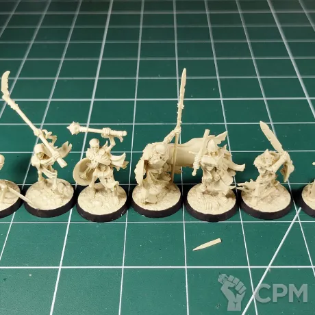 Описание картинки The Sepulchral Guard Могильная Стража от Каджит по цене 3 998руб | Свободный Рынок Миниатюр - СРМ