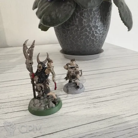 Описание картинки Warhammer underworlds Beastgrave от Mike_nord по цене 6 500руб | Свободный Рынок Миниатюр - СРМ