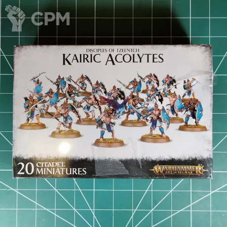 Описание картинки Disciples of Tzeentch Kairic Acolytes от Vault Boy по цене 6 998руб | Свободный Рынок Миниатюр - СРМ