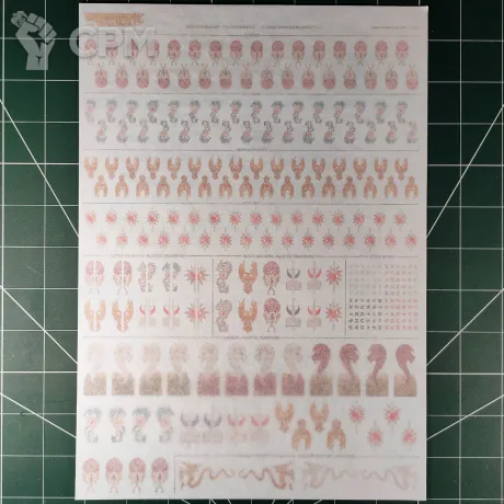 Описание картинки High Elf Realms Transfer Sheet (Декали) от Vault Boy по цене 4 556руб | Свободный Рынок Миниатюр - СРМ