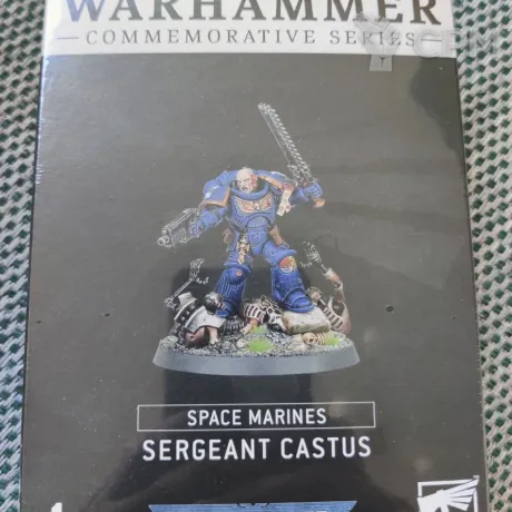 Описание картинки Sergeant Castus от Alternative Galaxy  по цене 14 000руб | Свободный Рынок Миниатюр - СРМ