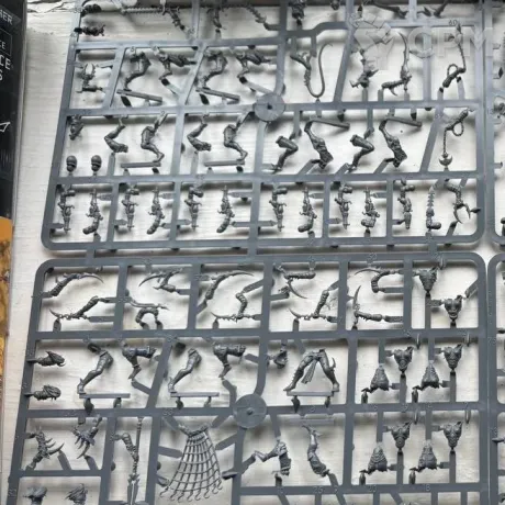 Описание картинки Drukhari Wyches из распила Realspace Raiders от Black Legion Hall по цене 2 500руб | Свободный Рынок Миниатюр - СРМ