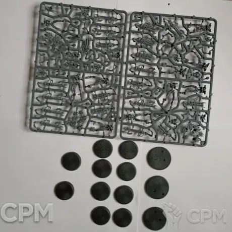 Описание картинки Necron Warriors and Canoptek Scarab Swarm из Kill Team Tomb World от Black Legion Hall по цене 1 300руб | Свободный Рынок Миниатюр - СРМ