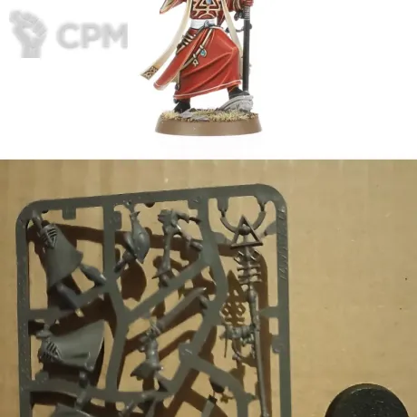 Описание картинки Aeldari Spiritseer от Black Legion Hall по цене 2 310руб | Свободный Рынок Миниатюр - СРМ
