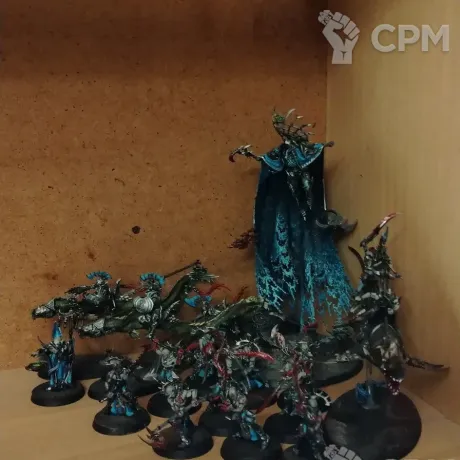Описание картинки Армия Idoneth deepkin от User25141 по цене 22 000руб | Свободный Рынок Миниатюр - СРМ