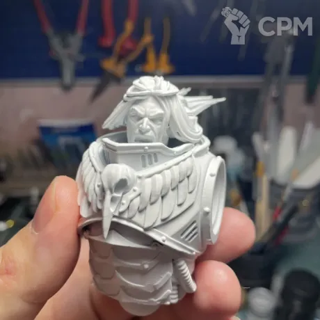 Описание картинки [КОПИЯ] Корвус Коракс (Corvus Corax) от  по цене 2 500руб | Свободный Рынок Миниатюр - СРМ