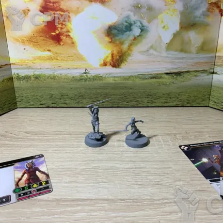 Описание картинки Asoka от Veteran Pand по цене 2 500руб | Свободный Рынок Миниатюр - СРМ