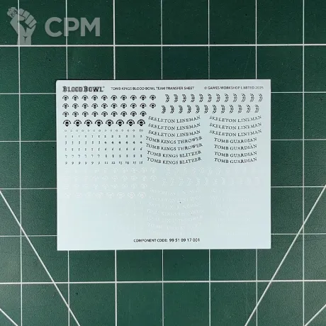 Описание картинки Tomb Kings Team Transfer Sheet (Декали) от Vault Boy по цене 1 298руб | Свободный Рынок Миниатюр - СРМ