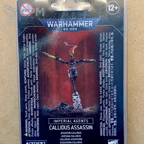 Описание картинки Callidus Assassin от notr3d по цене 4 000руб | Свободный Рынок Миниатюр - СРМ